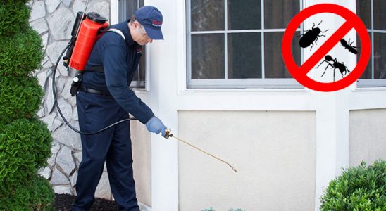 Kavaklıdere Böcek İlaçlama böcek ilaçlama ve haşere kontrolü — ilaclama-tr.com